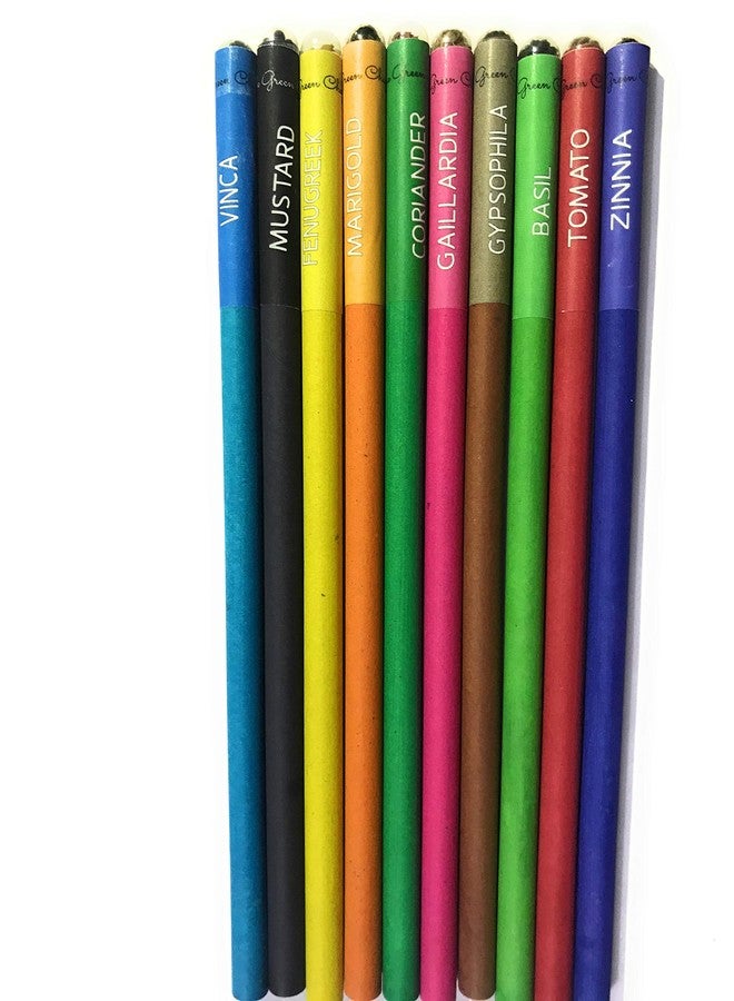 THE GREEN CHAPTER Ecofriendly Plantable Seed Pencils Pack of 10|100% Recycled Paper Colored Drawing Pencils for Artwork Office Art - Image 3